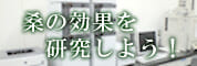 桑の効果