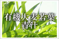有機大麦若葉青汁