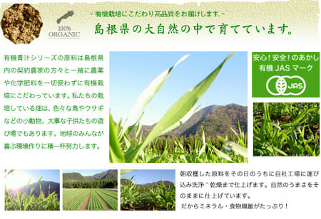 有機大麦若葉 有機大麦若葉
