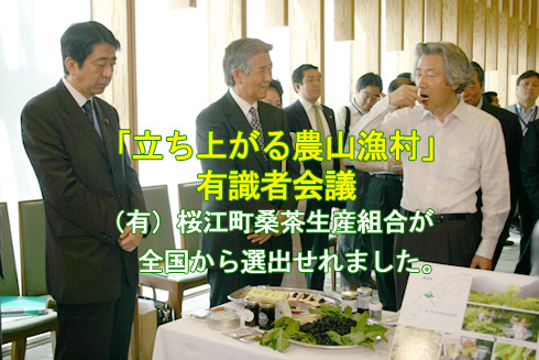 koizumi_abe
