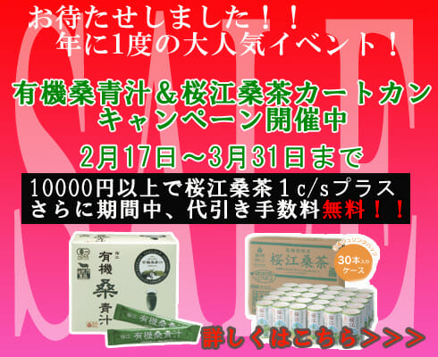 2010SALE