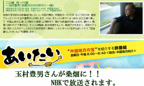 NHK 桑の葉
