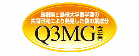 q3mg_logo