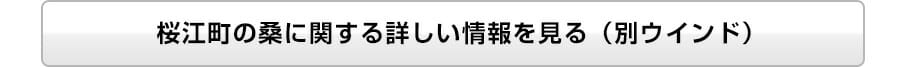 kuwa_aojiru_slice_08
