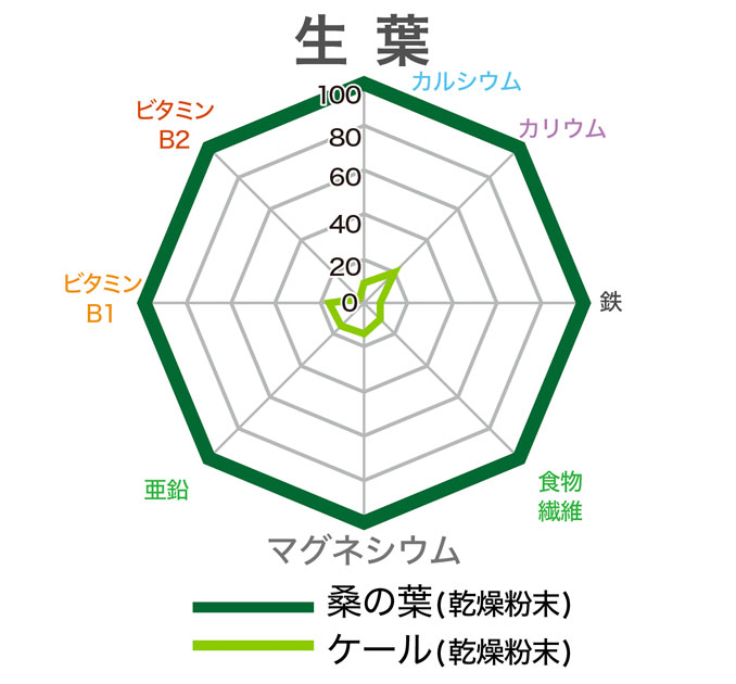 ケールとの比較01