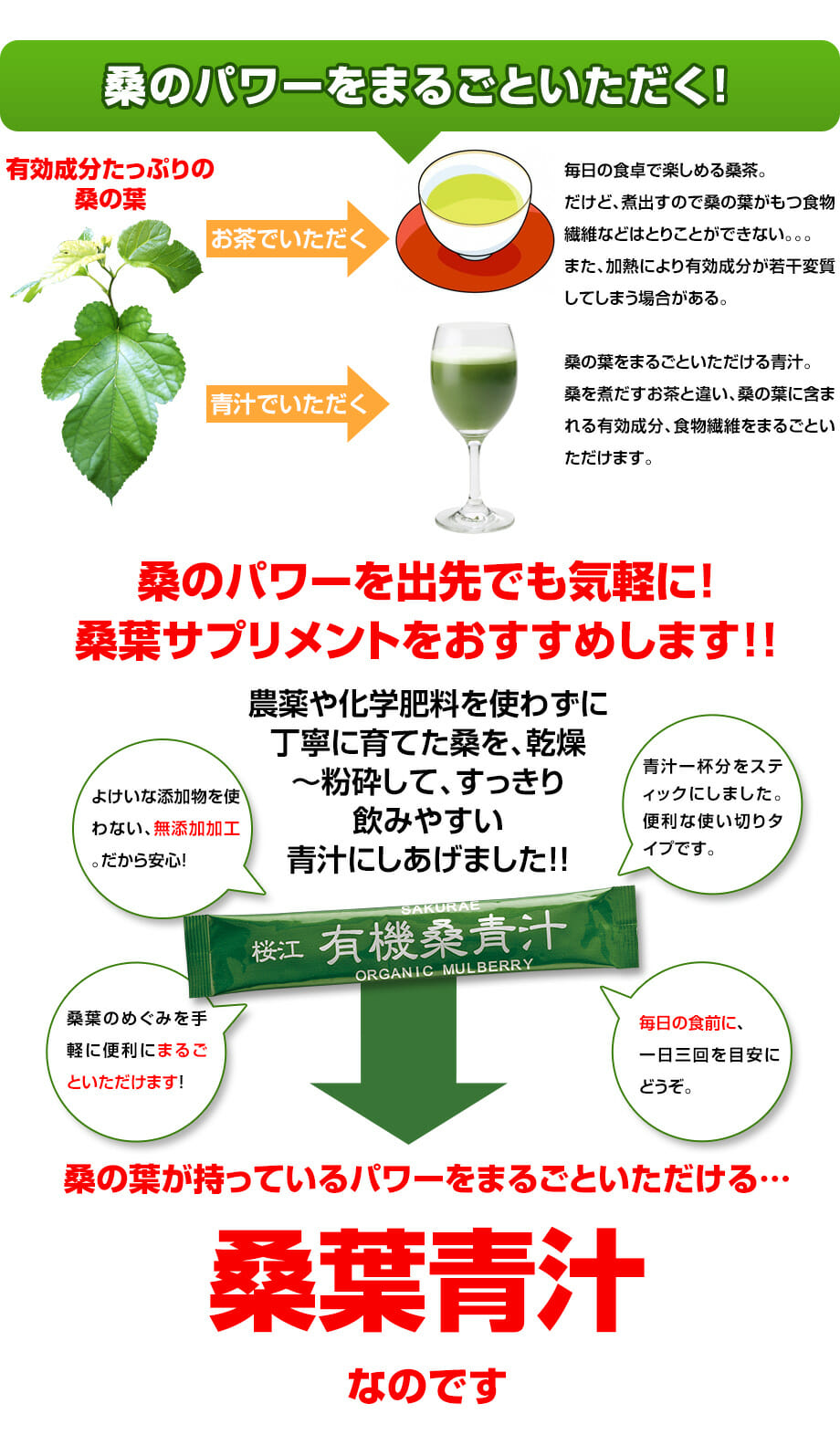 桑の葉専門店 桜江町桑茶生産組合 / 有機桑青汁 3g×90包入