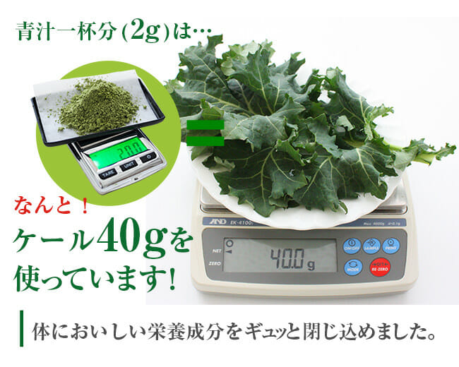 健康管理に！有機ケールパウダー | 【公式】島根の有機 桜江町（さくらえちょう）桑茶生産組合