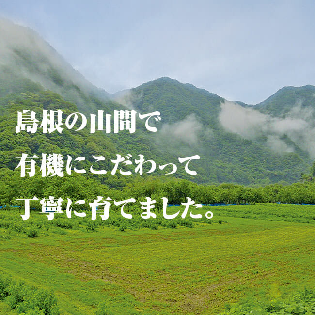 島根の雄大な大地で有機にこだわって栽培から加工まで丁寧に仕上げております。