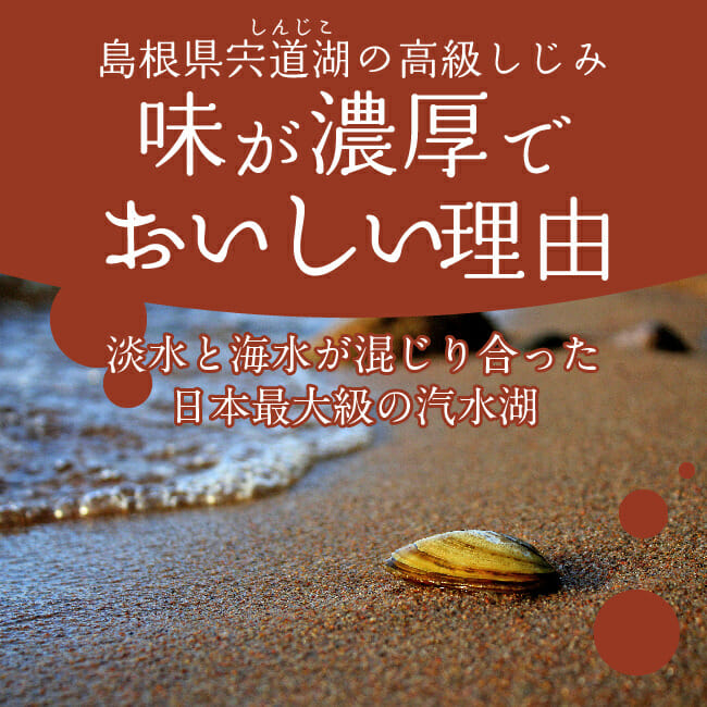 宍道湖（しんじこ）の赤だししじみ汁の、味が濃厚でおいしい理由