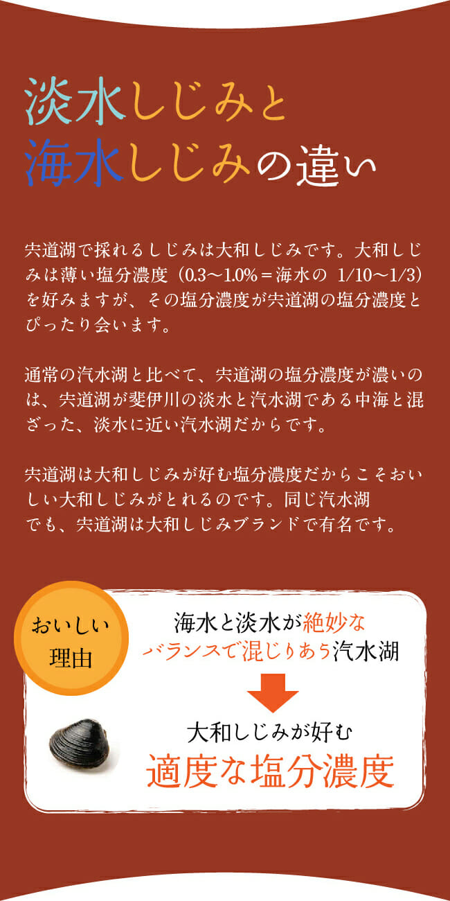 淡水しじみと海水しじみの違いとは？