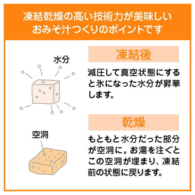 フリーズドライの仕組み