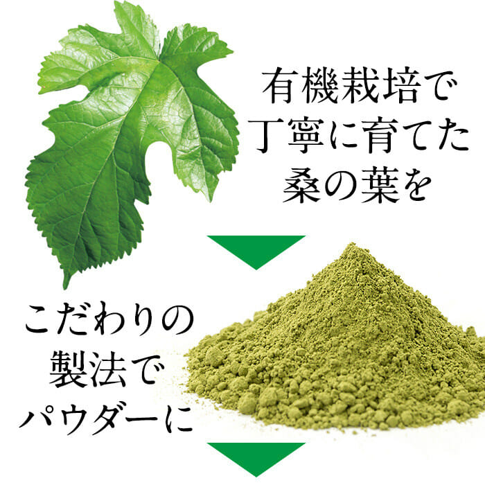 有機栽培で育てた桑の葉をこだわりの製法でパウダーに