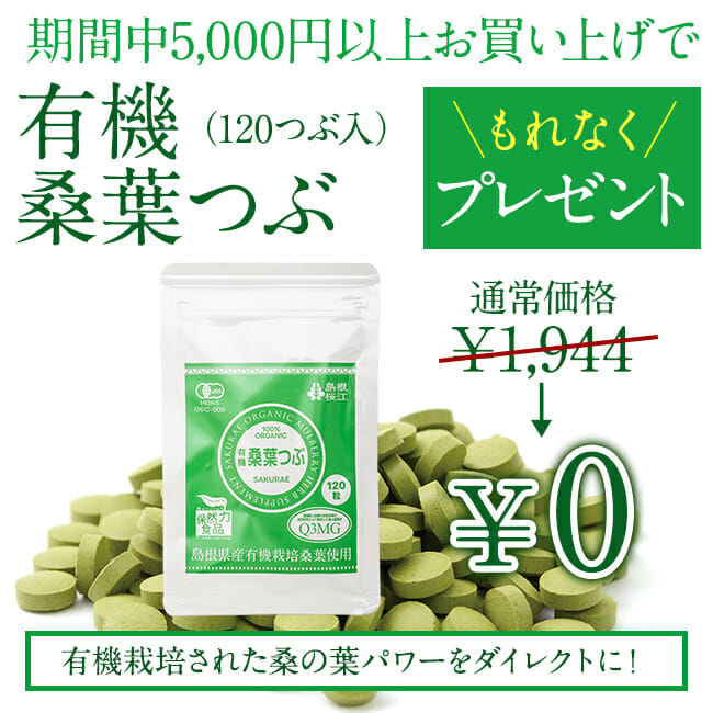 【期間限定】「有機 桑葉つぶ(120粒)」プレゼント