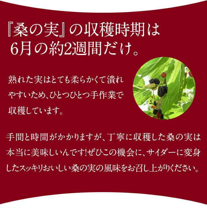 先着順!今だけのアウトレット特価 通常 1本あたり 218円 ⇒ 162円(税込) ※特価につき12本セットのみのご提供です。ご理解ください!