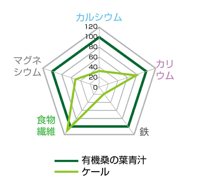 ケールとの比較02