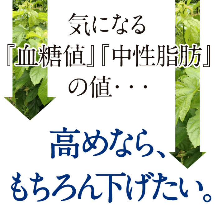 気になる『血糖値』『中性脂肪』の値。 高めなら、もちろん下げたい。