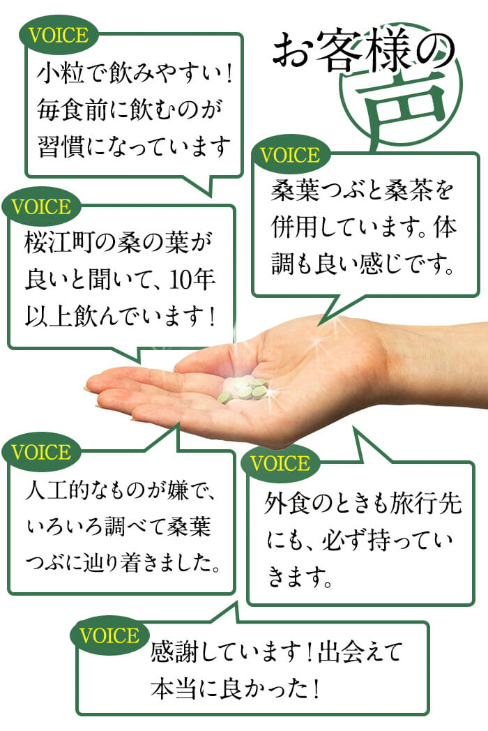 有機桑葉つぶの口コミ