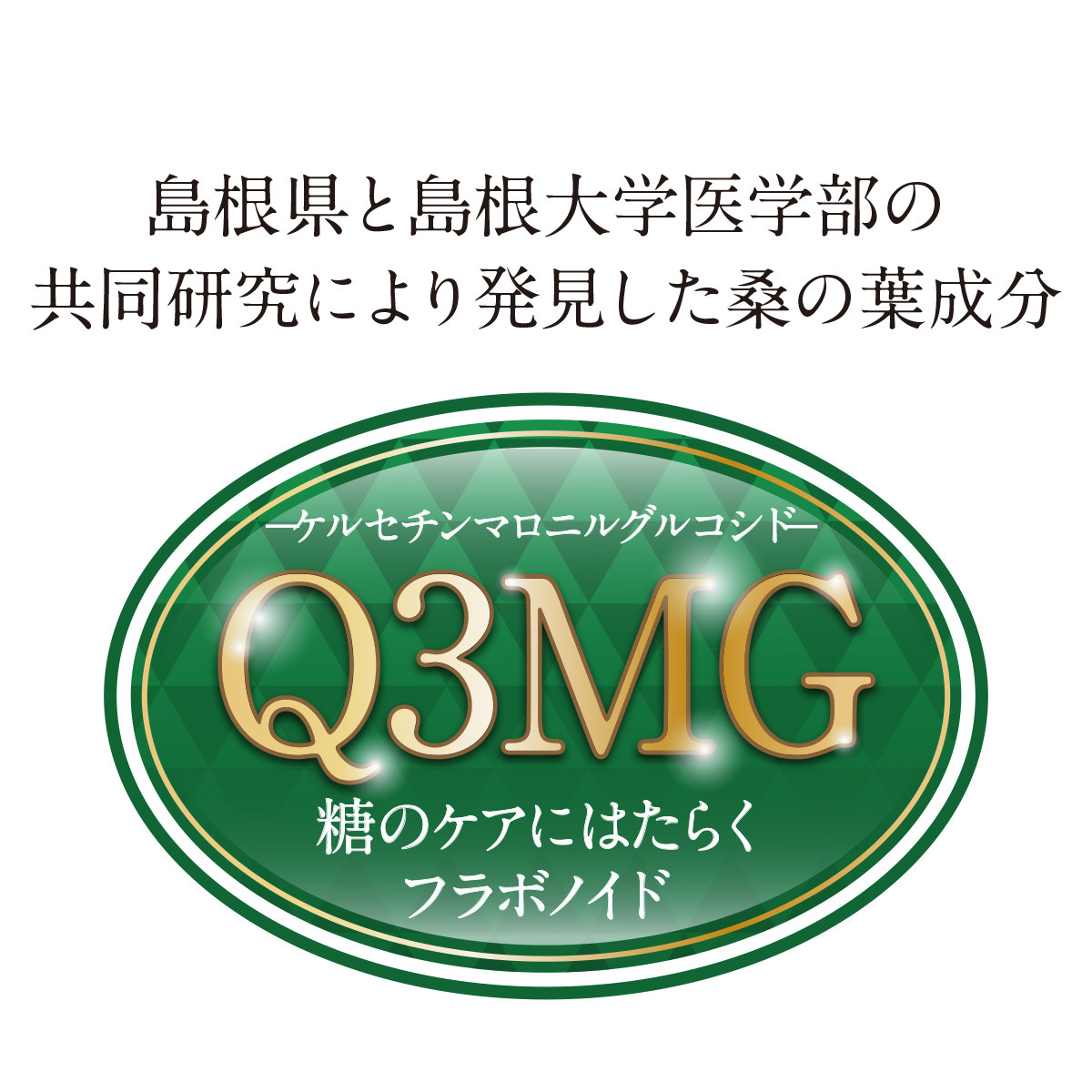 島根県と島根大学医学部の 共同研究により発見した桑の葉成分・Q3MG