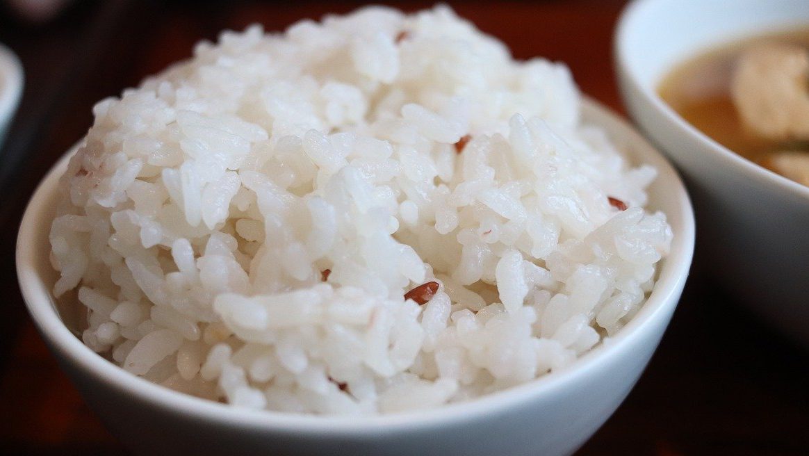 11. プロテインバー