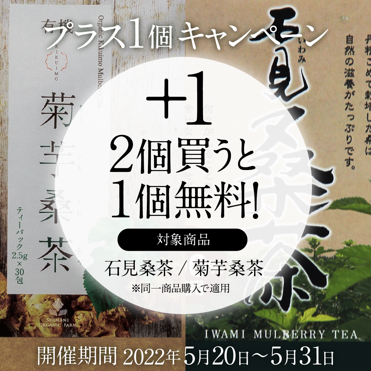 2022年5月キャンペーン