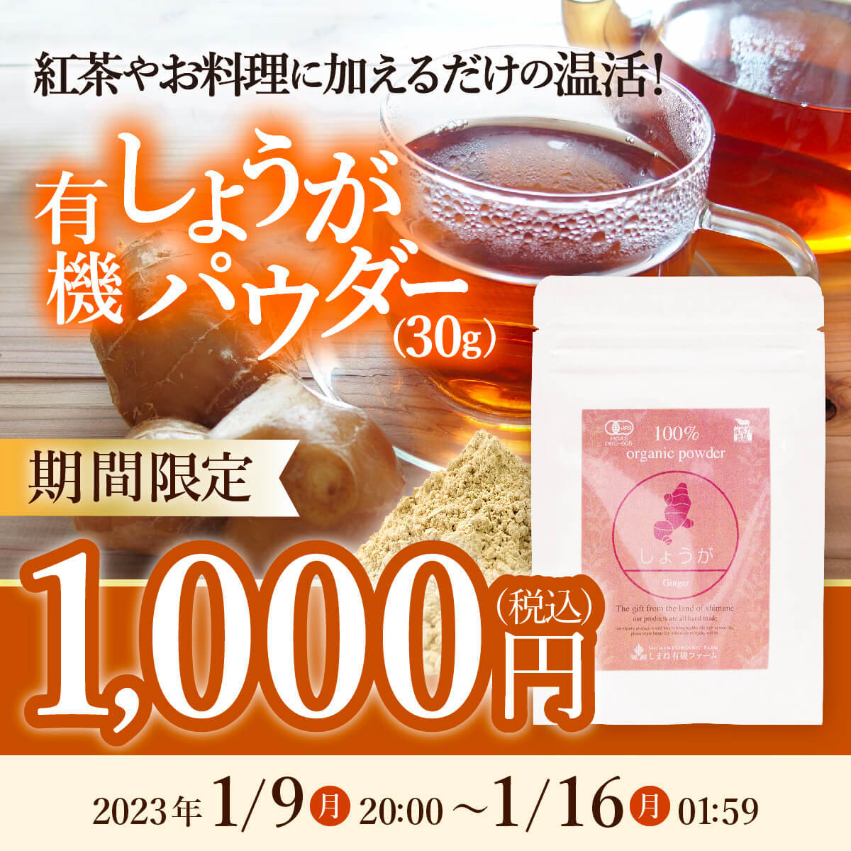 生姜パウダーキャンペーン