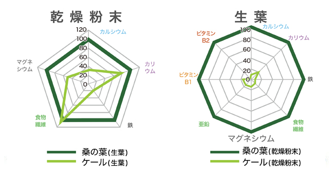 ケールと桑の葉の成分の違いを表示したグラフ